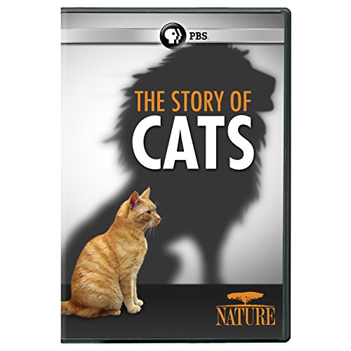 NATURE: The Story of Cats DVD