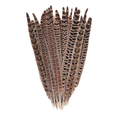 JIHUOO Lot de 10 Longues Plumes de Faisan Naturelles pour Arrangement Floral, Centre de Table,...