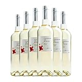 Castillo de Robles Blanco Macabeo La Mancha 75 cl Vino blanco (Caja de 6 Botellas de 75 cl)