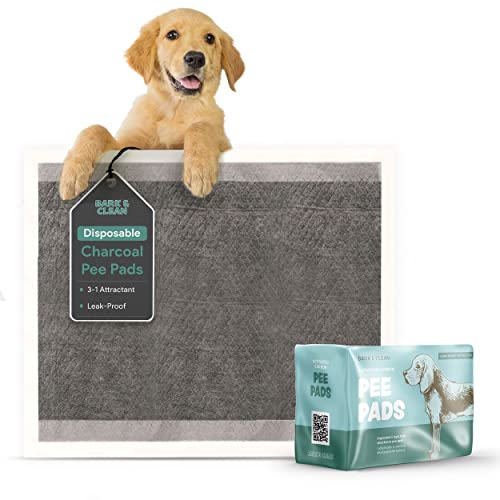 Image of Disposable Puppy Pads Potty Training - 25 Activated Charcoal Pee Pads for Dogs with Attractant - Wee Wee Absorbent, Odor Neutralizer Dog Pads - Five Layered Pet Potty Pads - 23 inch x 23 inch