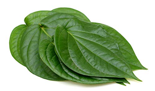 EliteKoopers Fresh & Organic Indian Pan Leaf, Betel Leaves, Pan Leaves