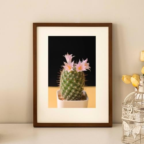 pCCސ`Ǌ|z Cނ̊zؐ̃tHgt[̎ʐ^Mtg `̃gȐF (55*55cm,retro color)