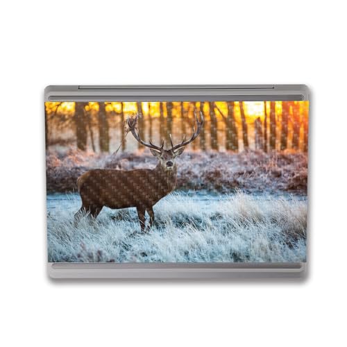 Image of MightySkins Carbon Fiber Skin Compatible with Microsoft Surface Laptop Go 3 (2023) Full Wrap Kit - Buck | Protective, Durable Textured Carbon Fiber Finish | Made in The USA