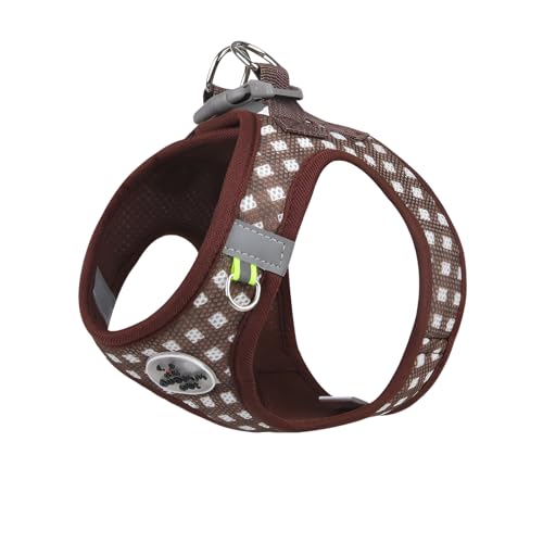 [Luvian]yhEn[lXz ybgn[lX ˕t yʋCbVz Lp Up ȒPE}WbNe[v KtBbg S݌v