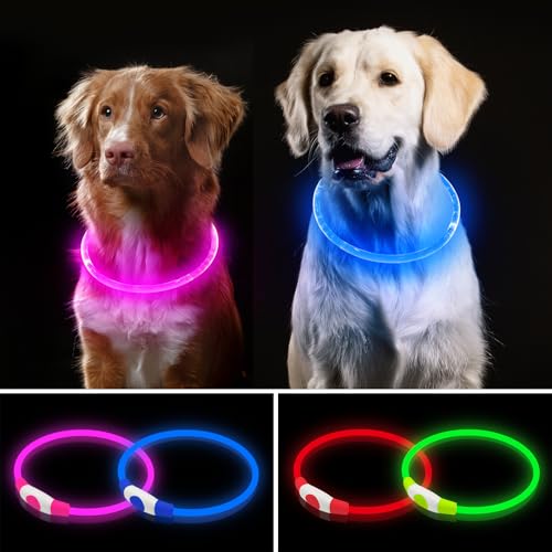 Higo 2 Pack Light Up Dog Collar, USB Rechargeable, Led