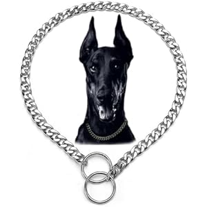 Silver Flat Dog Chain Collars,Slip P Link Metal Dog Collar,Adjustable Training Heavy Duty Martingal Collar for Dogs for Small Medium Large Dog Xs Silver XS(Neck Max 12inch)D2mm