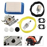 Zoom IMG-1 sgrehjdr kit filtro aria carburatore Zoom IMG-1 sgrehjdr kit filtro aria carburatore