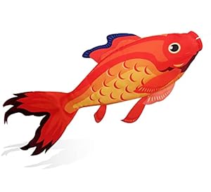 Madrona Brands Kleiner Fisch Windsack Rot Gelb Blau