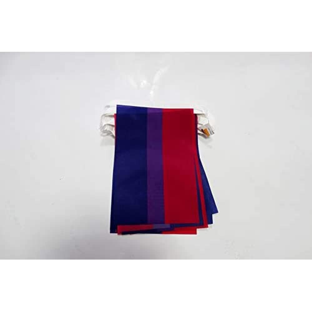 AZ FLAG Bisexuel Bunting 20 ft 20 flags Light Polyester