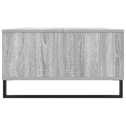 Table basse avec compartiments de rangement et pieds en fer robustes