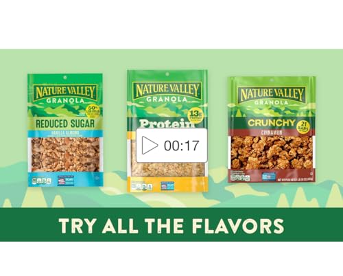 Generic 2 Pack) Nature Valley Protein Granola thumb #1