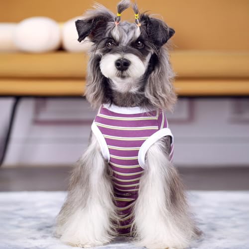 Image of Dog Surgical Recovery Suit, Spay Recovery Suit for Dogs Cats, Post Surgery Dog Onesie for Male Female, Soft Comfortable & Breathable (Purple Stripe-L)