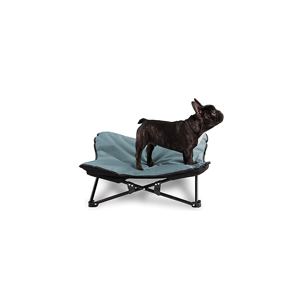 Pet Camping Raised Cot for Dogs Buy Online