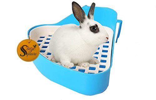 Sage Square Jumbo Size Litter Tray Cum Potty Training with Scoop for Rabbit/Guinea Pig/Ferret (Blue) (B07B2KLTZJ) Amazon Price History, Amazon Price Tracker
