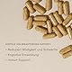 WILD NUTRITION Food-Grown® Vitamine für die Stillzeit | Vitamine für Energie und Immunstärkung nach der Geburt | Vitamin B6, Zink, Eisen und Selen | Bockshornklee & Brennnessel | 90 Kapseln
