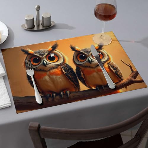 Sets de table chouettes antidérapants lavables pour cuisine moderne rectangulaire