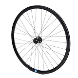 Oxford Evo TWF1001 Roue Avant Route 700 C 12 x 100 mm Disque Uniquement