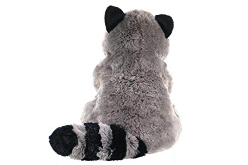 Wild Republic Raccoon Plush, Stuffed Animal, Plush Toy, Gifts for Kids, Cuddlekins 12 Inches - Image 3