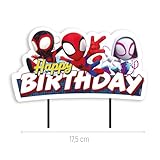 dekora B0FV95PN9B lato 2