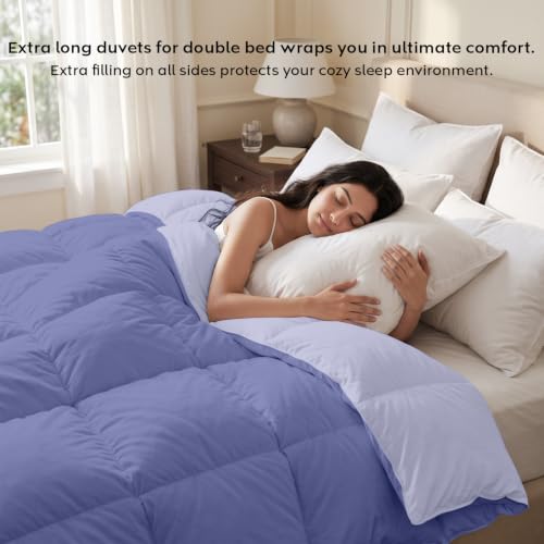 Image of AYKA Reversible Comforter 220 GSM Microfiber Reversible AC Comforter /Blanket for Winter /Quilt /Dohar /Duvets for King Size Blanket /Comforter Double Bed (Lavender & Blueberry, 90 * 100)