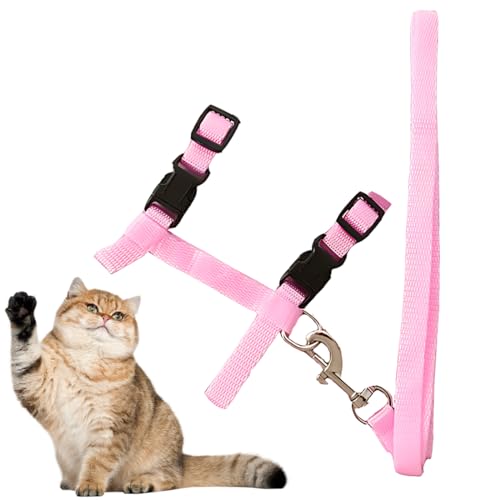 LuLiyLdJ Katzengeschirr mit Leine, Verstellbare Nylon Geschirre Katzenleine, Katzengeschirr mit Leine Ausbruchsicher, für Katzen und Kaninchen, 1 Stück LuLiyLdJ Katzengeschirr mit Leine, Verstellbare Nylon Geschirre Katzenleine, Katzengeschirr mit Leine Ausbruchsicher, für Katzen und Kaninchen, 1 Stück