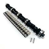 Ford SBF V8 289 460/460 Lift Cam Camshaft & Lifters Kit 302 MC24212 HA900