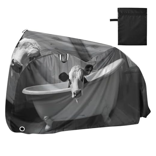 Fashionable Waterproof Bicycle Cover