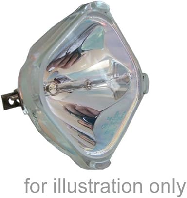 Philips bulbo ricambio per BenQ 5j j2 nbsp V05 001 nbsp nbsp BenQ MP778 MW860USTI MX750 Philips bulbo ricambio per BenQ 5j j2 nbsp V05 001 nbsp nbsp BenQ MP778 MW860USTI MX750