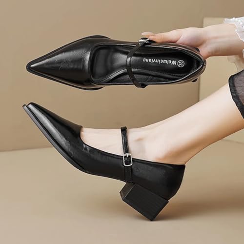 JOEupin Women's Low Chunky Heel Dress Mary Jane Shoes Pointed Toe Ankle Strap Block Heel Formal Pumps4