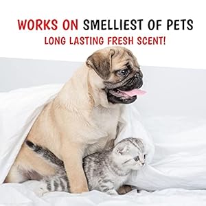 Warren London  Wet Kiss Dog Cologne Long Lasting Dog Spray Dog Deodorant to Remove Odor from Stinky Dogs Milk  Honey 2 Ounce Bottle  Cucciolini Doodles Warren london  wet kiss dog cologne long lasting dog spray dog deodorant to remove odor from stinky dogs milk  honey 2 ounce bottle   cucciolini doodles