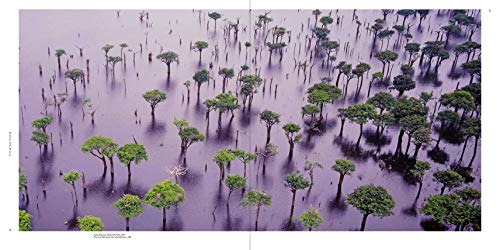 Brasil Visto do Céu | Brazil Seen from the Sky