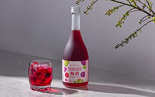 合同酒精 鍛高譚の梅酒 720ml の商品画像 2