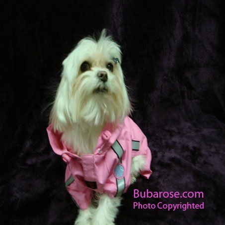 Puppia Jumpsuit Raincoat Pink - Small