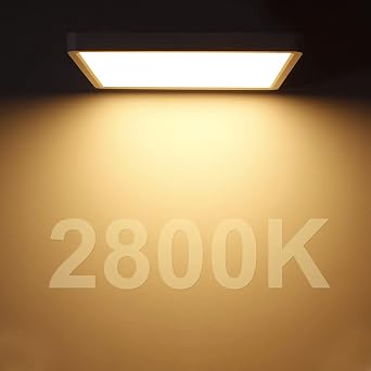 LED Flush Mount Ceiling Light Fixture, 2800K Warm White, 12inch 24W, 3200LM, Slim Flat Panel Lighting Fixture, Square Modern Ceiling Lamp for Bedroom, Kitchen, Living Room, Closet, Stairwell, IP40