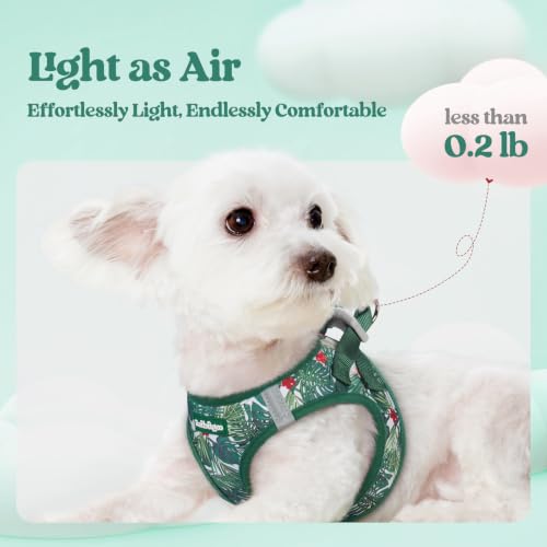 Image of rabbitgoo Dog Harness Small Sized and Leash Set, Step-in Puppy Pet Vest