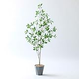 フェイクグリーンと人工観葉植物の「造花ドットコム」 全体のサイズ　高さ 108cm 幅68cm 奥行き53cm 鉢のサイズ　Formaポット（PP製） 高さ 16cm　幅 15cm 枝葉を畳んでお届けするため、枝葉の広げ方によってデザインやサイズが異なってきます。デザイン自体は非常に楽しいものですので、その点も楽しんでご利用いただければ幸いです。