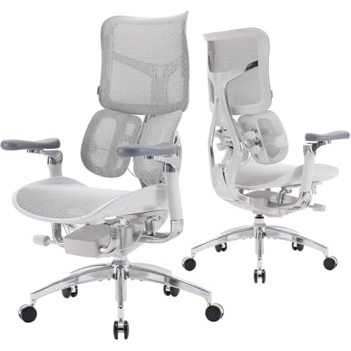 SIHOO Doro S300 Chaise de Bureau Ergonomique, Chaise d'ordinateur, Chaise de Jeu avec Support Lombaire Dynamique Double, accoudoirs coordonnés 6D (Maillage Gris Velours), Expédiée en 2 Colis