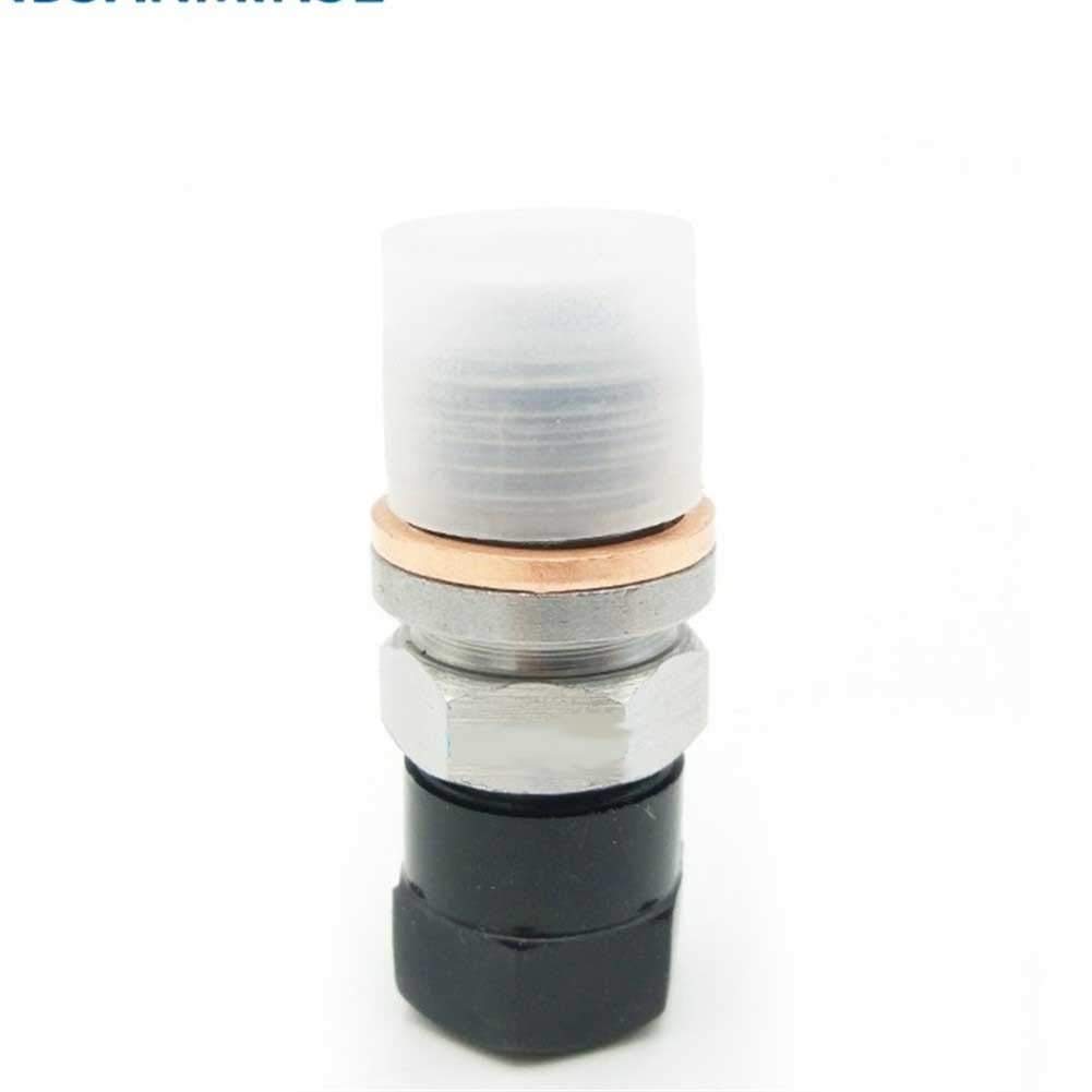 Valvole di ritegno QXF4 QXF5 Valvola Carica for ugello accumulatore vescica for azoto Strumenti(Qxf 4 2,10PCS)