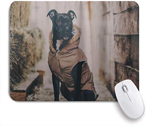 Preisvergleich Produktbild Benutzerdefiniertes Büro Mauspad,Hundekostüm Sitzender Hirte,Anti-slip Rubber Base Gaming Mouse Pad Mat