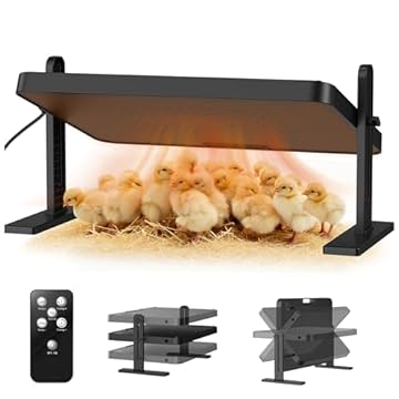 best chick brooder heater