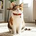 salbsever Red Cat Collar, Breakaway Leather Cat Collar Adjustable Red Kitten Collars with Bell Quick Release Buckle for Most Cats and Kittens