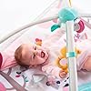 Tiny Love Gymini Deluxe, Gimnasio Infantil Evolutivo Musical 2 en 1, Desde el Nacimiento, Gimnasio Bebe con 18 Actividades, Juguete Musical Portátil, Arcos Ajustables, Tiny Princess Tales #4