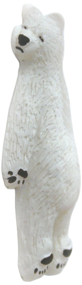 しろっくま 81Z2tqPUUiL._AC_UF350,