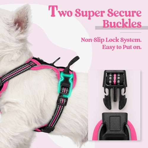 Image of rabbitgoo Dog Harness No Pull with 2 Leash Clips, Adjustable Soft Padded, Reflective Oxford No Choke Pet Vest with Easy Control Handle for Large Dogs, Black & Hot Pink, XS