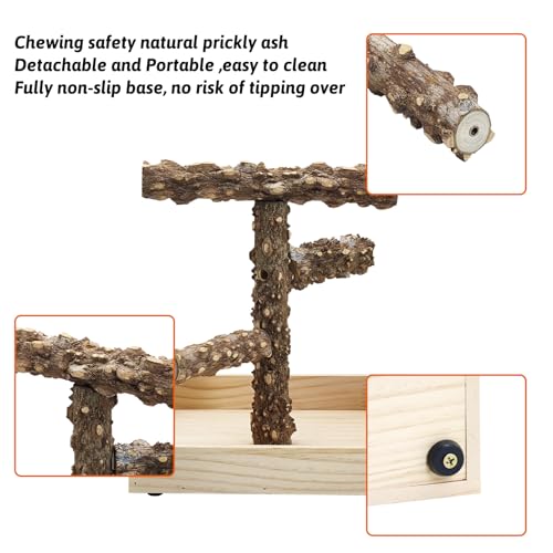 Image of BNOSDM Portable Bird Perch Stand with Potty Tray, Natural Wood Tabletop Training Gym Parrot Playground Toy for Budgies, Cockatiels, Lovebirds,Conures Canaries