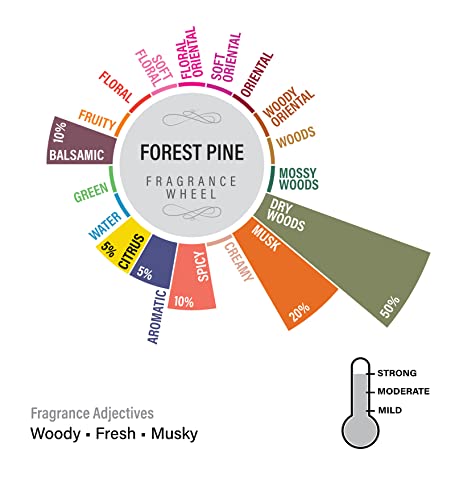 Image of EKAM Forest Pine Votive Soy Wax Scented Candle, 40 Grams, 10 Hours Burn Time| Long Lasting Premium Candles | Ideal for Home Decor | Gifting & Aromatherapy