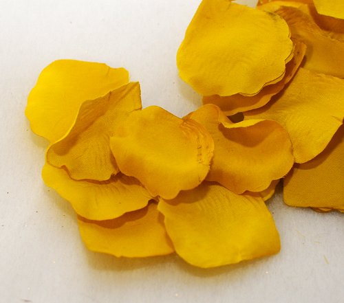 100 Petali di Rosa (Argento (Lamè))