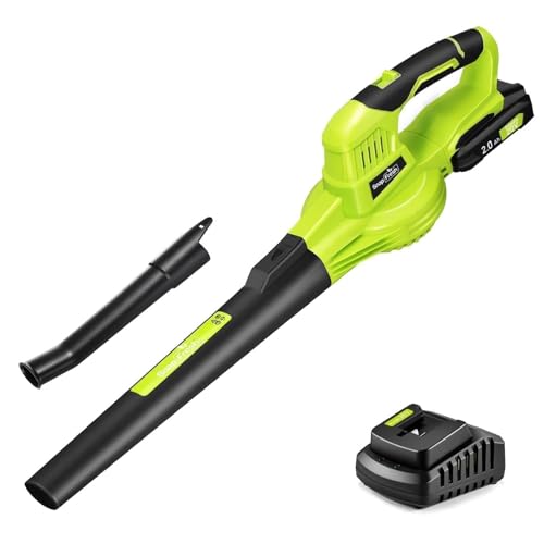 SnapFresh Cordless Leaf Blower - 20V Electric Leaf Blower with 2.0 Ah Battery and Charger - Lightweight 2-Speed Leaf Blower for Lawn Care and Yard/Garden/Patio Cleaning
