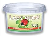 1500 Live Ladybugs - Hippodamia Convergens - Guaranteed Live Deliver - Plastic Container for Moth (1500)