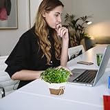 Zoom IMG-2 dechous set 4 pezzi mini Zoom IMG-2 dechous set 4 pezzi mini